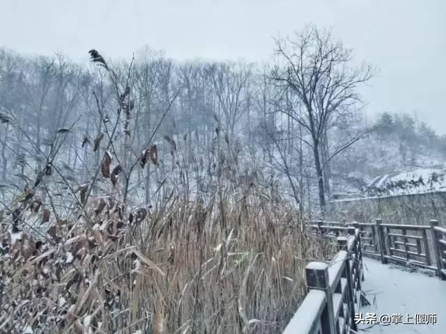 昨天洛阳雪后，一大波美景曝光