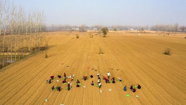  当床■大田地里生火做饭，农民打工日挣百元：天当被子地当床