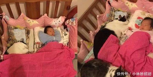 还在相信怀孕不能养宠物吗？ 连央视新闻都出来辟谣了!