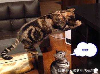 爆笑GIF动图:切,不就是个拼音吗?小学的时候就