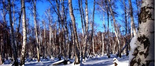 5A级景区白沙湖要免门票咯！快看过来！