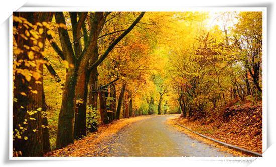  【农村】现在的农村，还有哪些暴利生意？这里推荐几个供参考