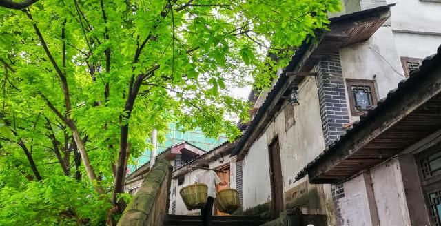 我国最实在的两座热门旅游城市，对待游客从不虚假，把宰客当耻辱