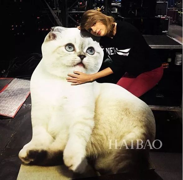 GUCCI看了沉默，LV也得陪玩!喵星人究竟有什么魔力