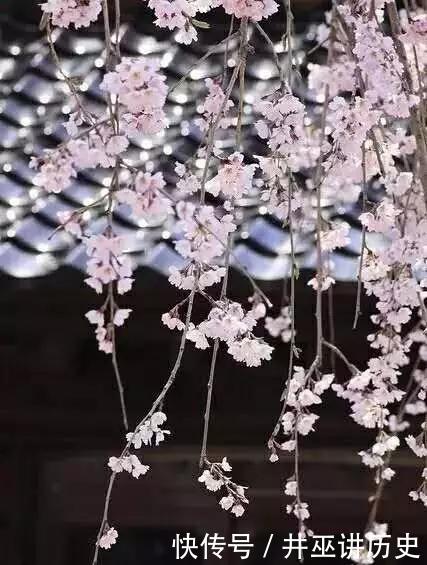 构图:你知道吗,春天拍花就要竖构图,拍出形态气质美