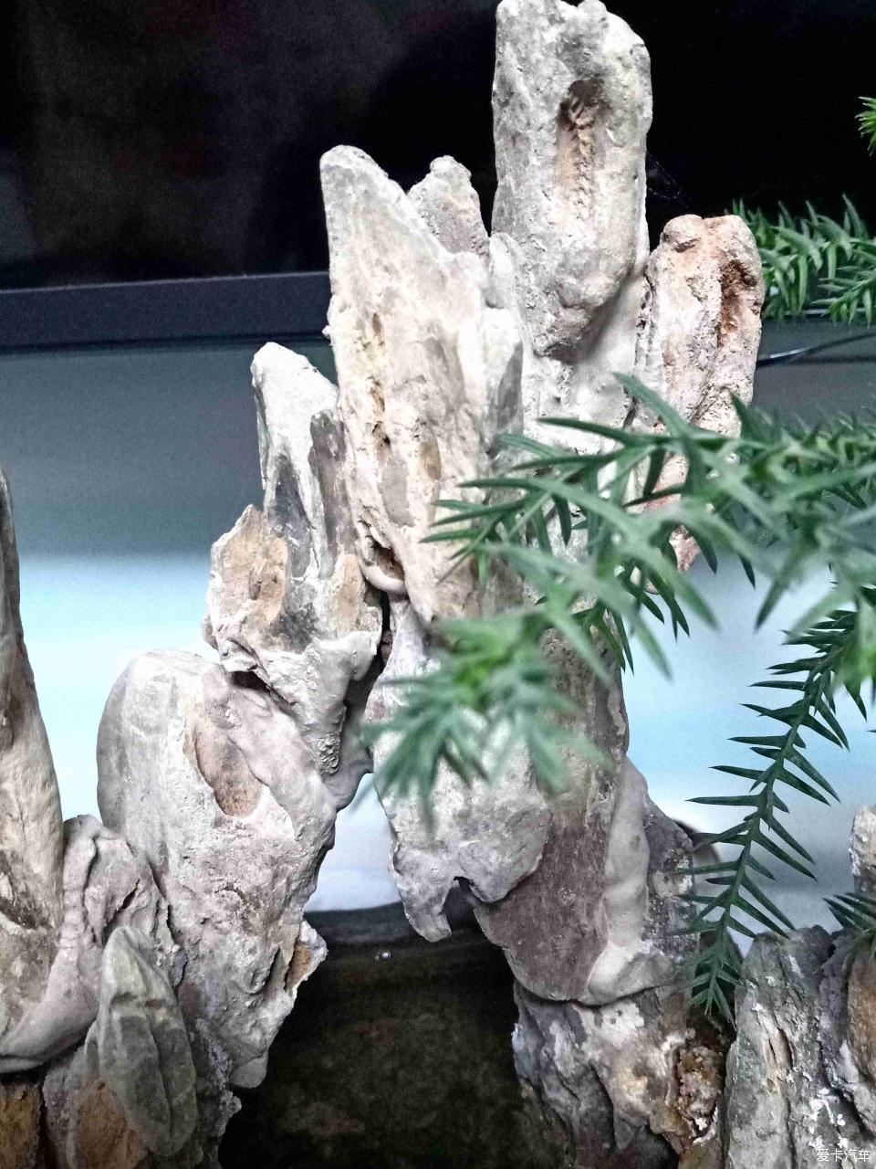 小山水盆景里的大千世界