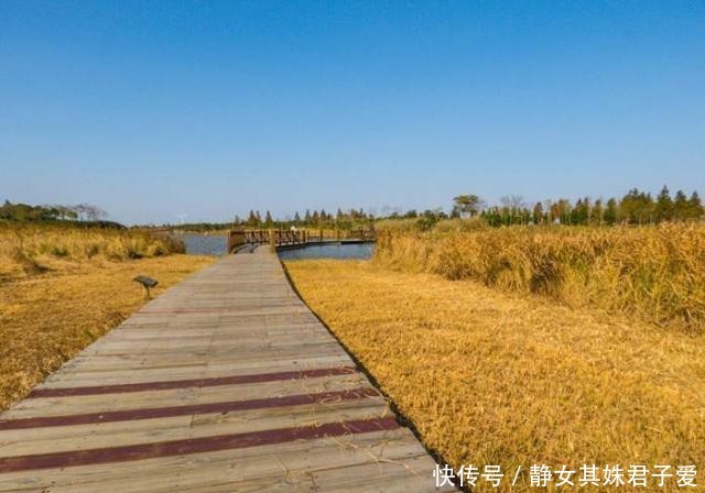 国内不断扩大的岛屿,每年扩大5平方公里,或将成为中国最大岛!