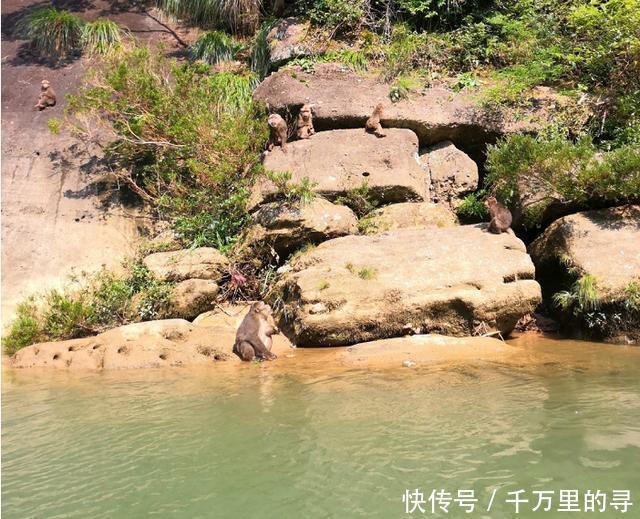 中国最美溪流原来在福建,乘坐竹筏漂流九曲,做一场光怪陆离的梦