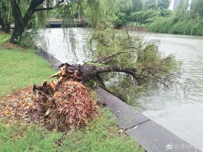 紧急辟谣!!朋友圈疯传苏通大桥的视频，真相是…