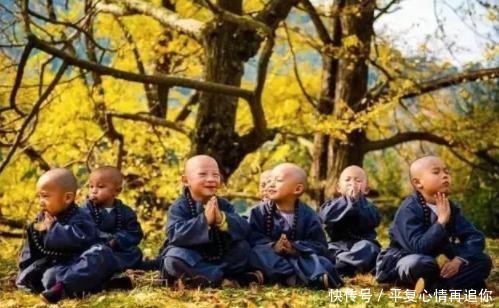 中国最“可爱”的寺庙,隐藏在贵州深山之中,被称为现实版乌龙院