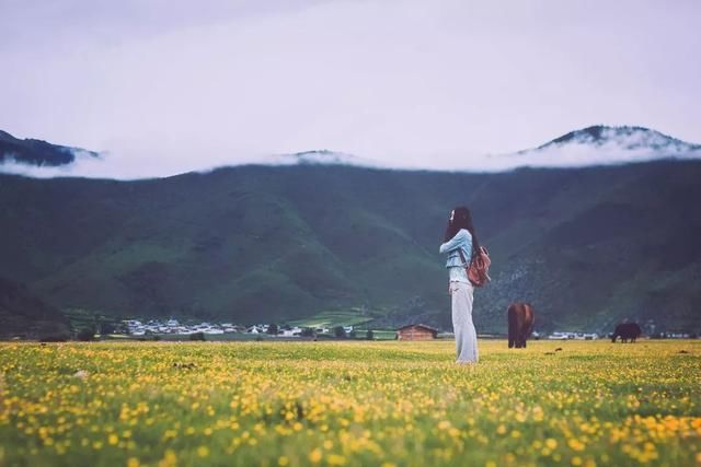 不去天堂，就去雨崩！这里有云淡风轻，这里花开四野……