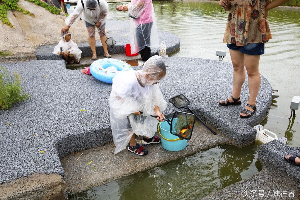 在北纬三十九度有一个绝美的地方--海湾湿地曹妃甸