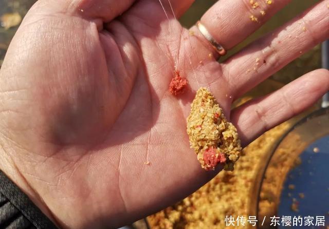 『举例』黑坑如何做窝:举例三种常见方法,分析各自优势及适用鱼情
