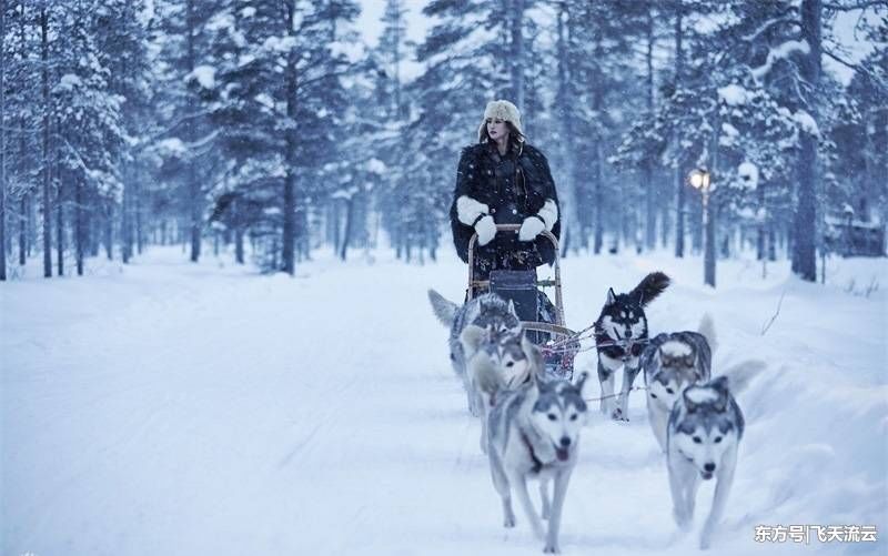 宋佳和冰雪女王张钧甯