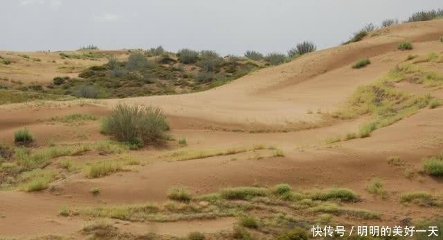 绿洲@中国最“神奇”的沙漠，60年前还是流沙，如今大部分已变成