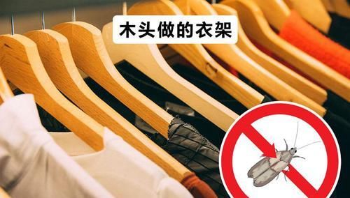  『隐藏』6个生活常见事物隐藏的特别之处