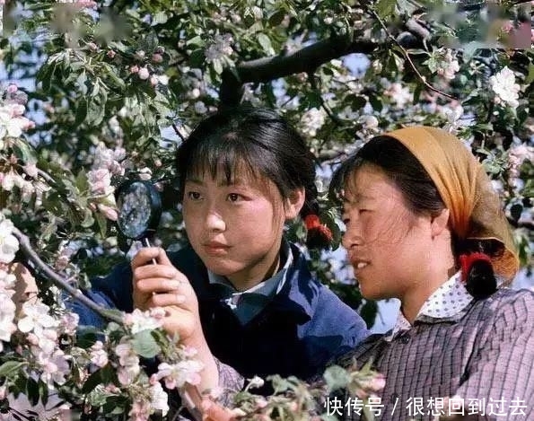  「漂亮」【欣赏】毛主席时代的妇女，真漂亮！
