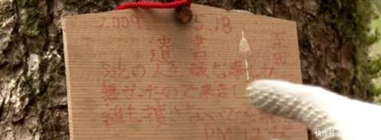 日本富士山暗藏“自杀名所” 50年来找到上千具尸体