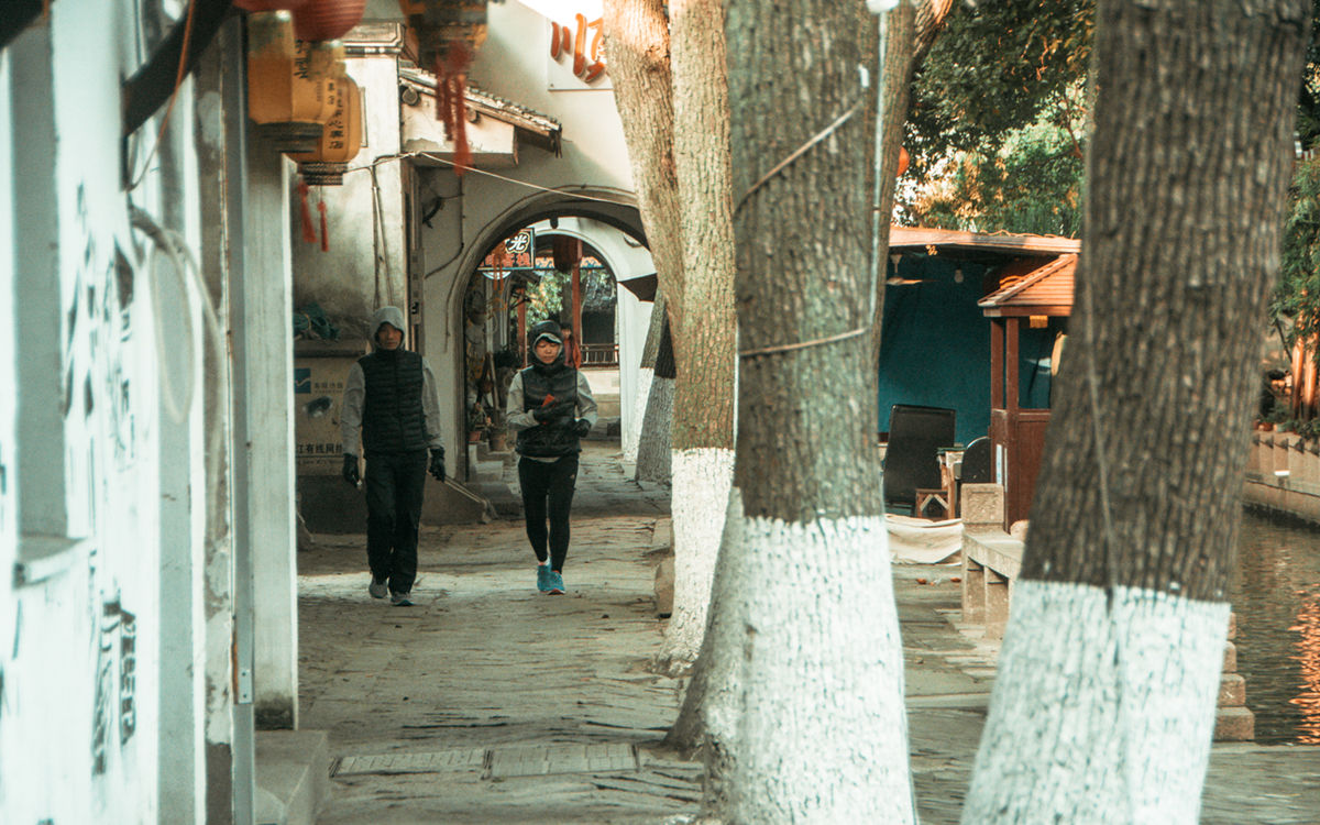 一年两驾苏州：秋宿同里古镇，春游太湖小镇