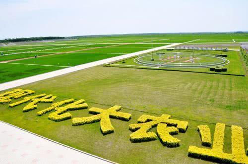  【未来】未来7、8年，农村4个行当将崛起，比打工强，年赚十万也