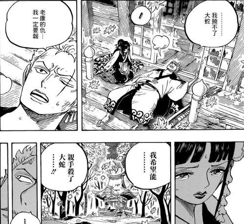  『安排』海贼王：大蛇的结局已经被安排好，杀死他的不是索隆也不是桃之助