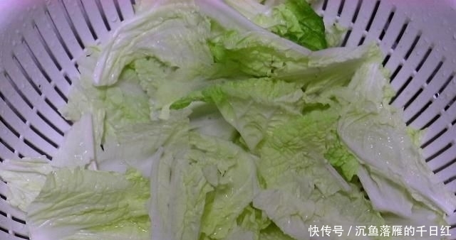  切成■白菜炖豆腐，先炒豆腐还是炒白菜？厨师长教你最正确做法，太香了