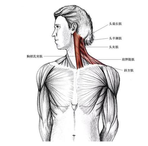热巴的蝴蝶臀天鹅颈，女明星做梦都想要的好身材，都是这样来的？