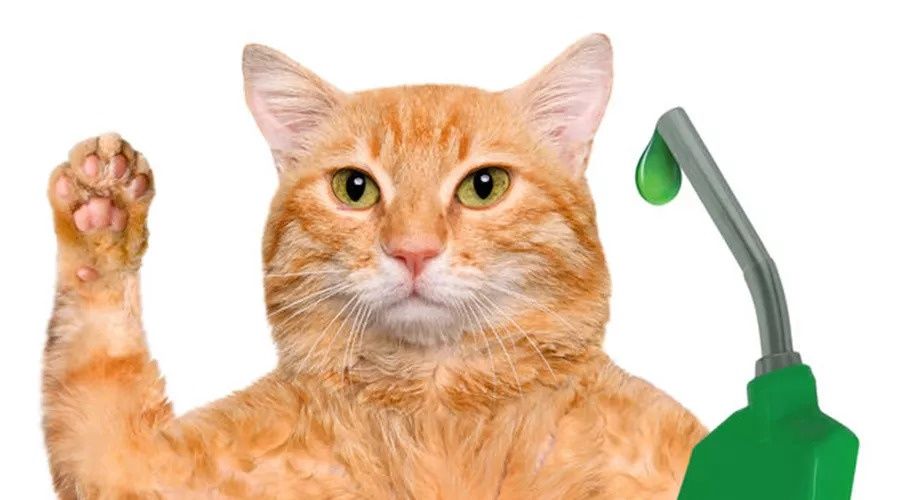 15 个医生才知道的护肤小知识，帮你省钱又变美