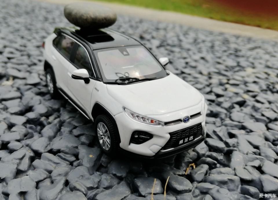 特别:十里春风,打卡滨江公园