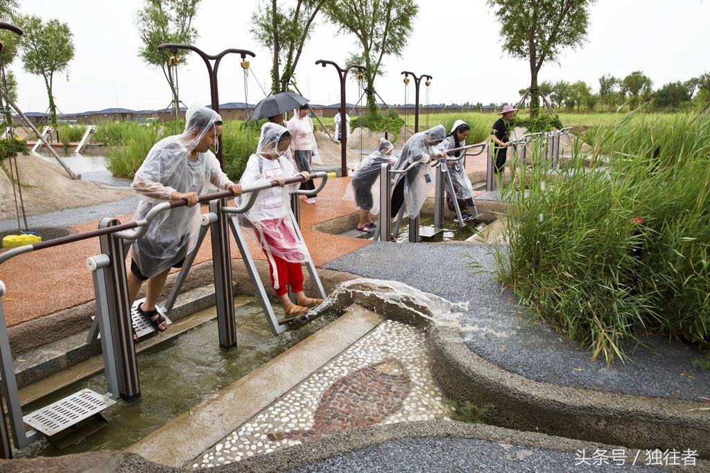 在北纬三十九度有一个绝美的地方--海湾湿地曹妃甸