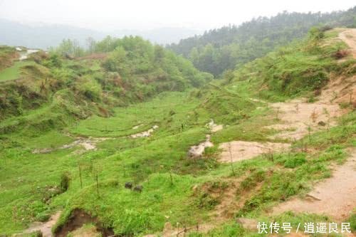 好消息！2019年农村又发钱了，白补偿2000元，不要白不要