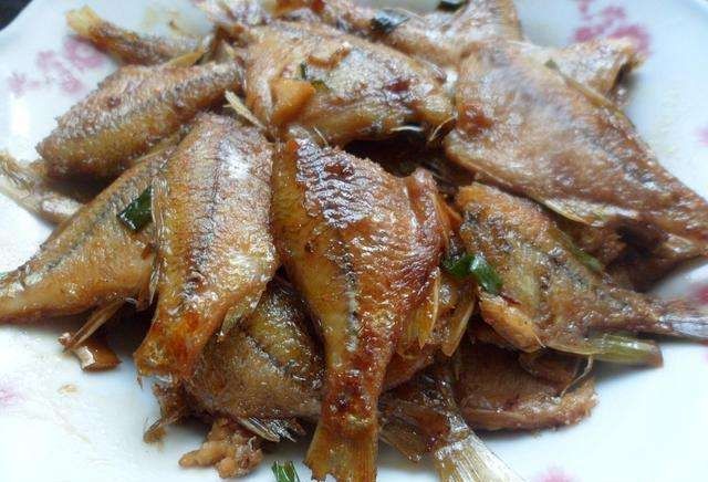  『肚子』小时候最讨厌钓到鳑鲏鱼, 离水几分钟就会烂肚子