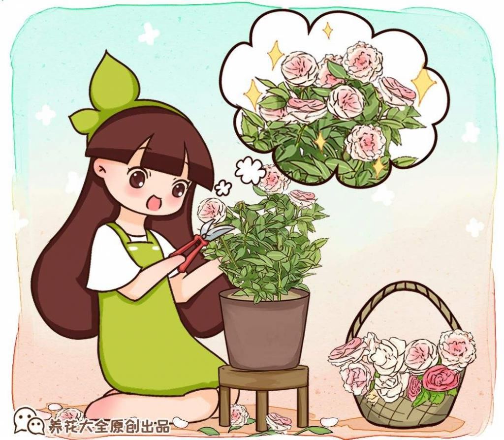  「栀子花」刚买回家的花，掉花苞，黄叶子，修剪一下还能活