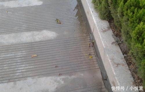  开放交通■为什么中国没有像美国一样大范围地使用水泥路面？