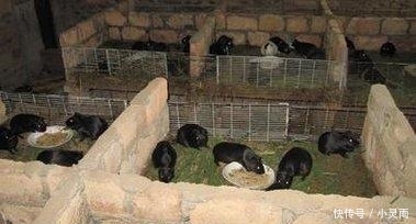  [农民]19年将实施“村村拆”, 涉及各家各户, 有村干部带头行动,