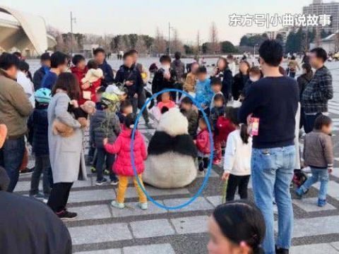 日本街头惊现“大熊猫”，引众人围观拍照，中国游客看后却笑喷了