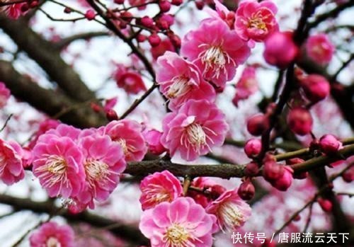  [好处]对俗人来说，修佛的最大好处是什么？｜佛典读解