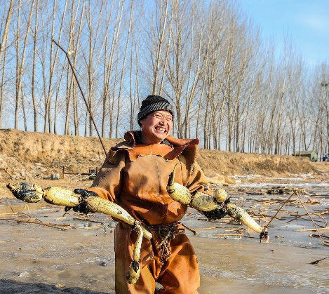  「水中」北方寒冬，挖藕的农民在零下十度的水里辛苦，令人敬佩
