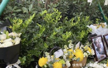 高以翔粉丝鲜花