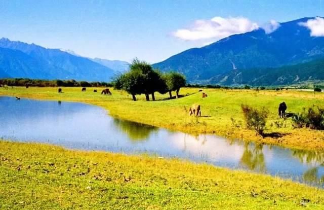 西藏你应该去看看