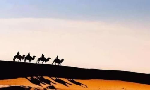  「已成」全球首个被人“干掉”的沙漠，如今已成塞上绿洲，中国