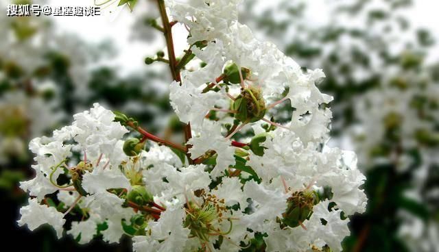  水瓶座■4月上旬，身经百战，蓄势待发，霸气回归的四大星座