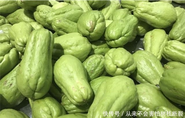  种植：农村这种菜，一株能结果500个，以前很受欢迎，如今却无人
