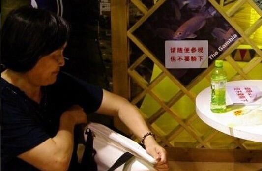 日本景点频现中文指示牌，上面的内容却令人扎心