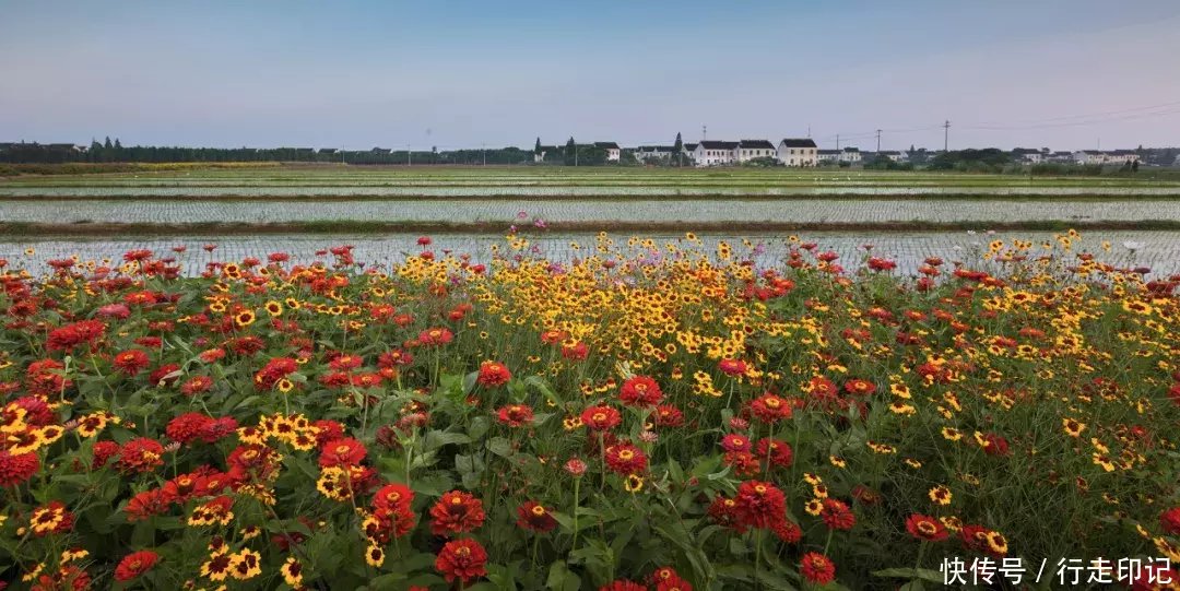 4000米高空跳伞是什么感觉？来甪直体验当“鸟人”的滋味