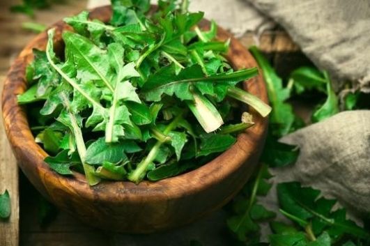  #没错#七八十年代喂猪的野草，不是中药材就是野菜，吃过的是土