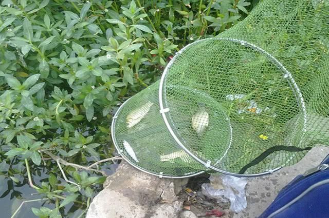  水库■水库钓鱼注意这4点，钓好鱼不难
