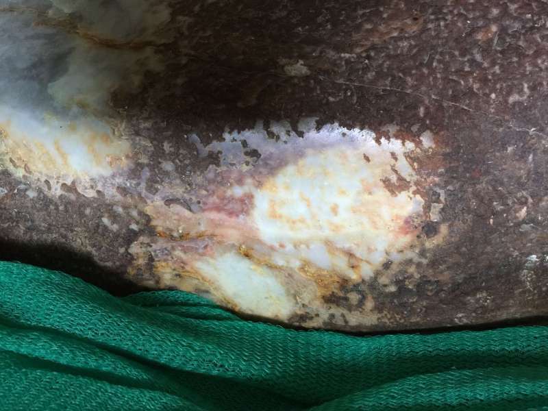  #男子#农村男子在河边捡到块奇石，送去鉴定后，以5000万的价格