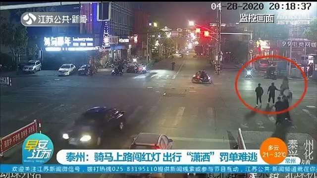 『出行』泰州几个年轻人骑马上路闯红灯 出行“潇洒”但罚单难逃