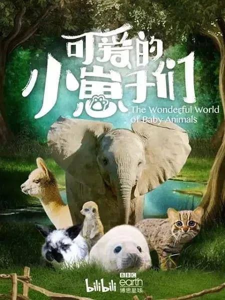 「小豹猫」啊啊啊不行了我被这部「猛男必看」萌化了